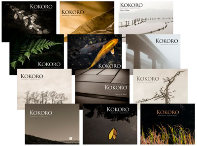 Candid Graphics - Kokoro Book Cover