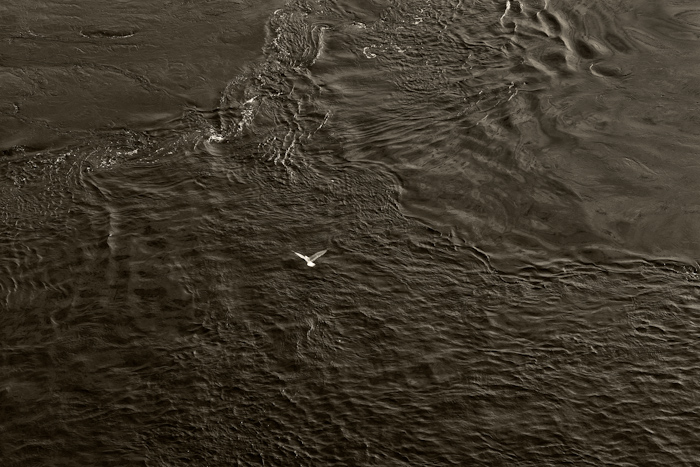 This project has 100 images so far. This image added 25 Oct 2008.