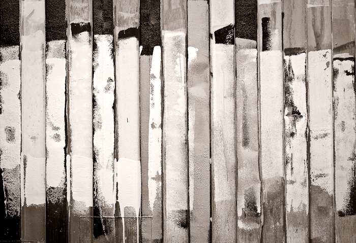 This project has 100 images so far. This image added 6 Aug 2009.