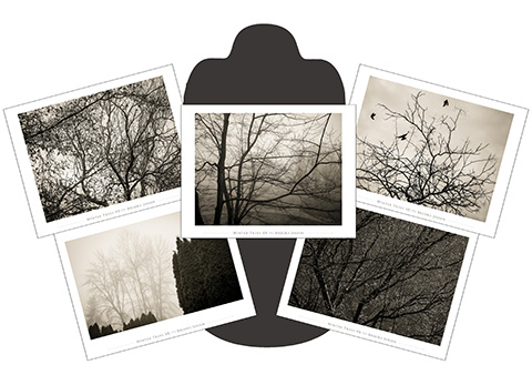 Winter Trees 3